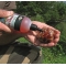 Dynamite Baits Evolution Oils – Robin Red 300ml